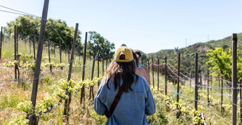malibu-guided-vineyard-hike-with-photo-stops-and-wine