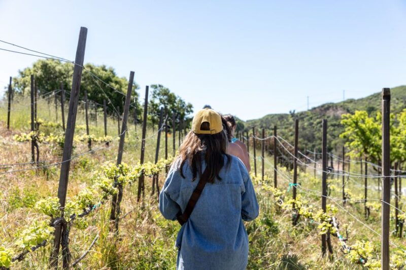 malibu-guided-vineyard-hike-with-photo-stops-and-wine