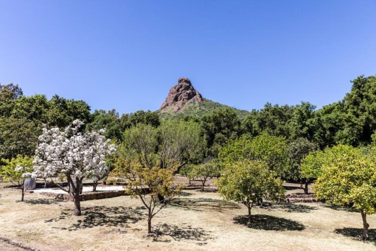 malibu-guided-vineyard-hike-with-photo-stops-and-wine