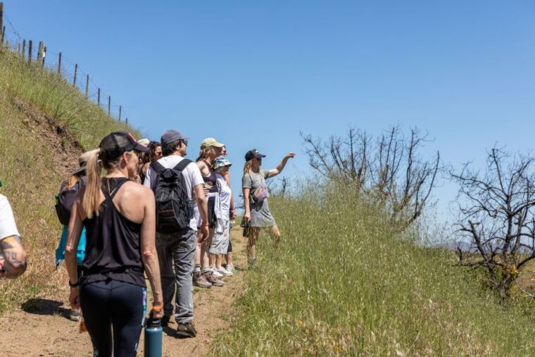 malibu-guided-vineyard-hike-with-photo-stops-and-wine