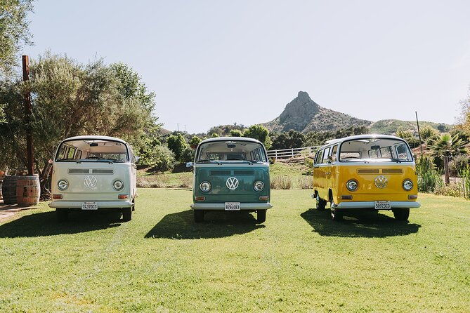 malibu-vintage-vw-bus-and-vineyard-tour