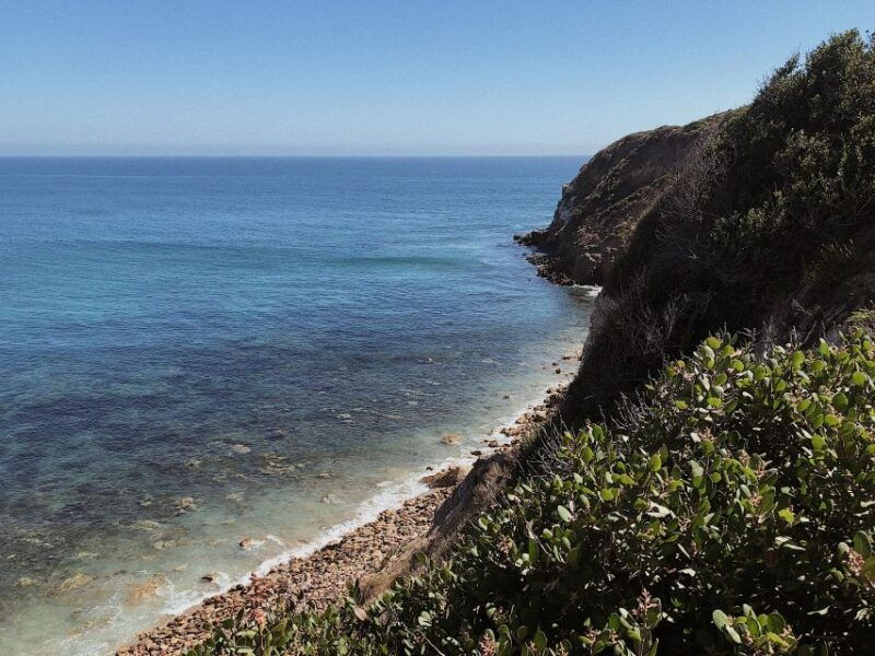 malibu-vintage-vw-sightseeing-tour-and-wine-tasting
