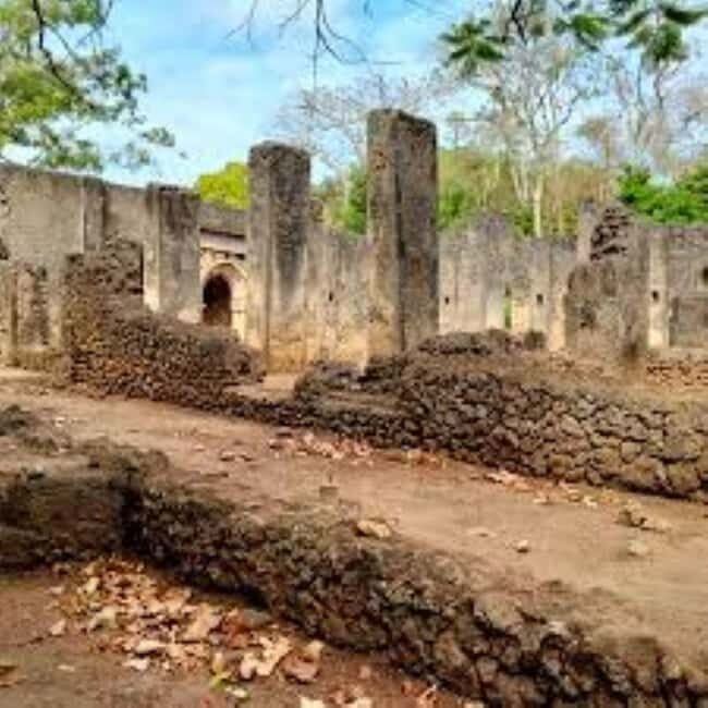 Malindi: Full-Day City Highlights Tour with Gede Ruins - Wildlife Encounters at the Snake Farm