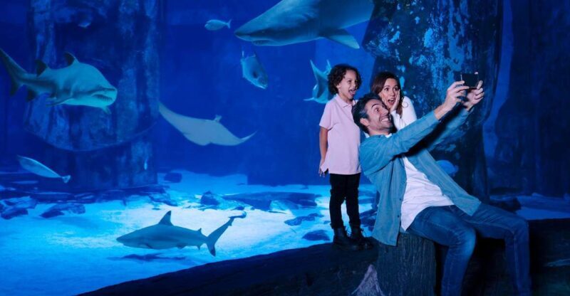 Mall of America: Sea Life Minnesota Aquarium Entry Ticket - Why This Tour Delivers Value