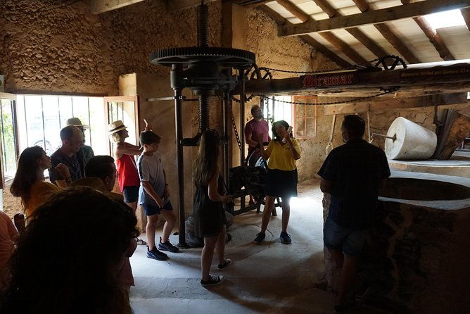 mallorca-5-hours-hidden-marvels-tour