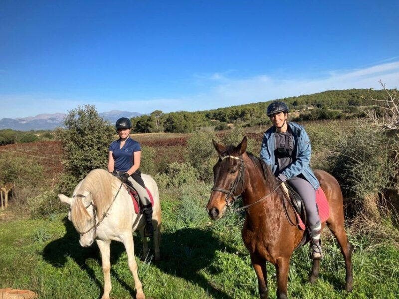 mallorca-activity-with-horses-antique-mallorca