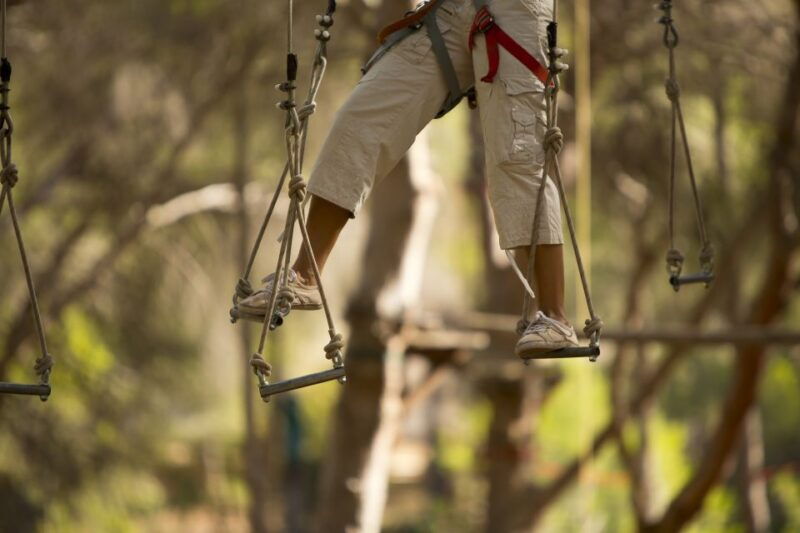 mallorca-adrenaline-tree-top-adventure-entry-ticket