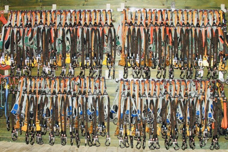 mallorca-adrenaline-tree-top-adventure-entry-ticket