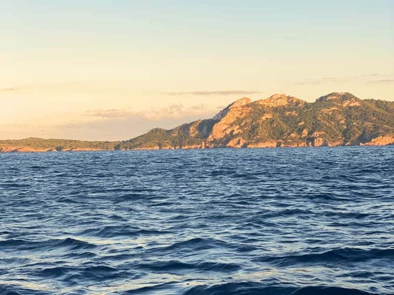Mallorca: Alcudia, Private Boat Tour to Formentor & Pollensa - Final Thoughts