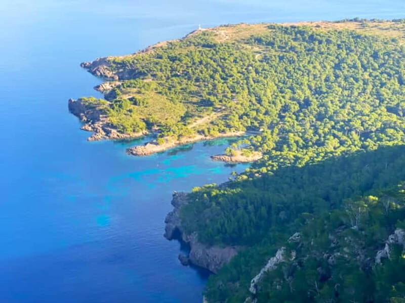 Mallorca: Alcudia: Private Boat Tour with Snorkel - What Does the Price Include?