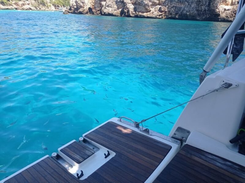 Mallorca Boat Tour with Swim, Cliff Food, & Drinks - Who Should Consider This Tour?