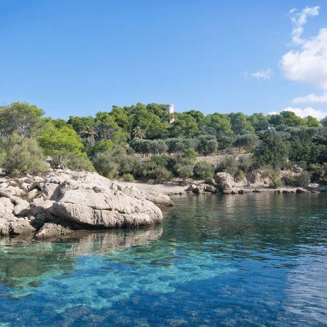 Mallorca: Boat Transfer between Port Andratx and Sant Elm - Exploring the Mallorca Boat Transfer: What You Can Expect