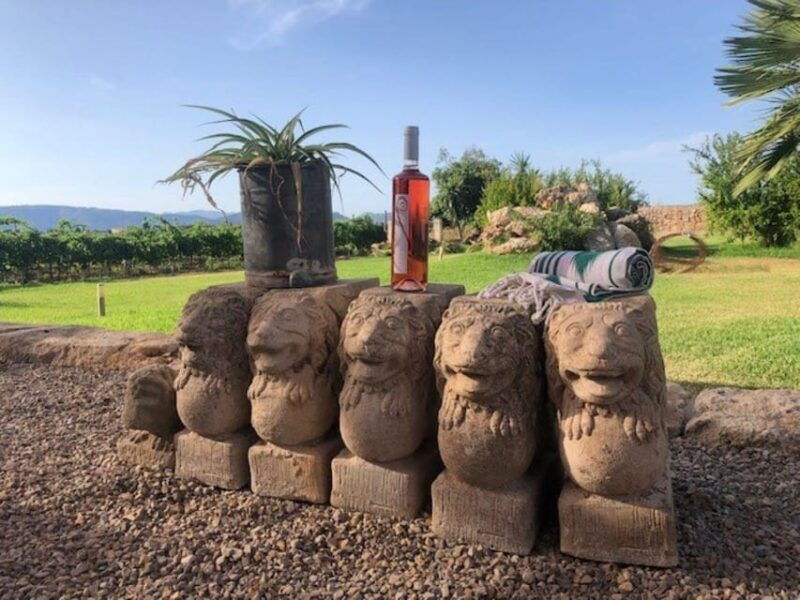 mallorca-bodega-butxet-vineyards-winery-tour-with-tasting