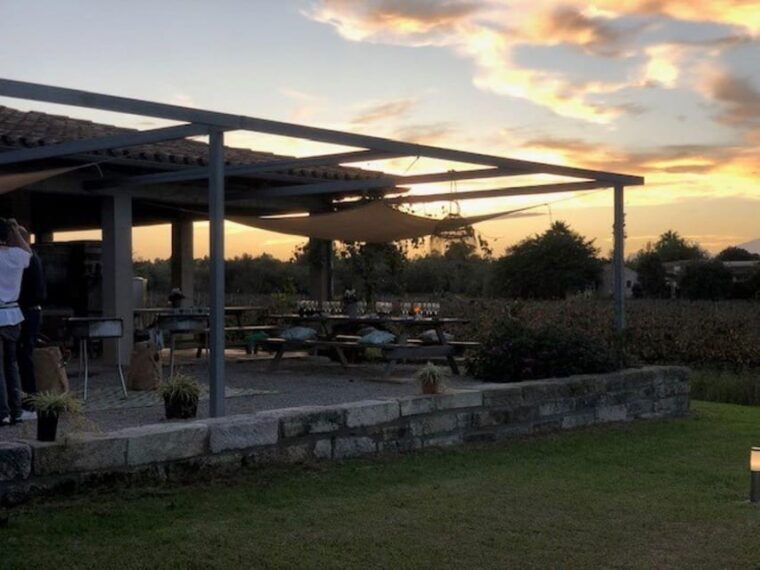 mallorca-bodega-butxet-vineyards-winery-tour-with-tasting