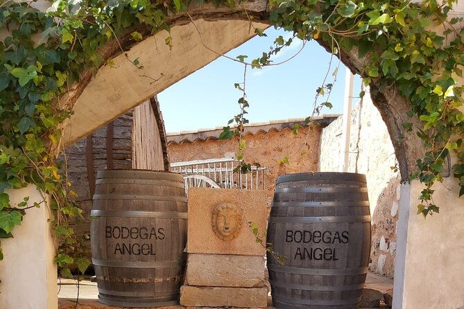 mallorca-bodega-olive-minibus-tour-incl-pick-up-south-coast-3