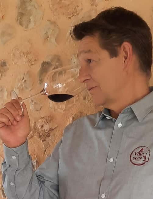 Mallorca: Bodega & Olives Minibustour with wine/oil tasting - Practical Details and Tips