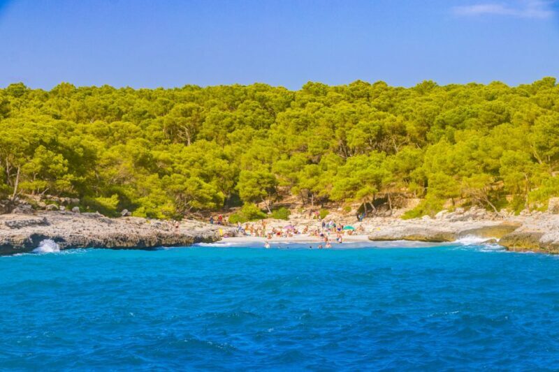 Mallorca: Cala Mondragó Natural Park Jetski Tour - An Introduction to the Cala Mondragó Jetski Experience