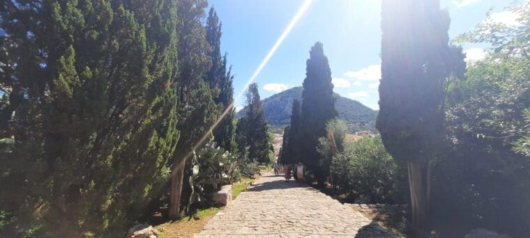 mallorca-cap-cava-minibus-tour-to-formentor-german