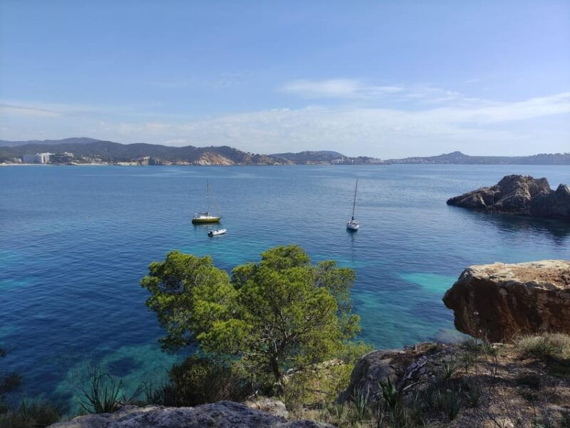mallorca-catamaran-boat-tour-with-tapas
