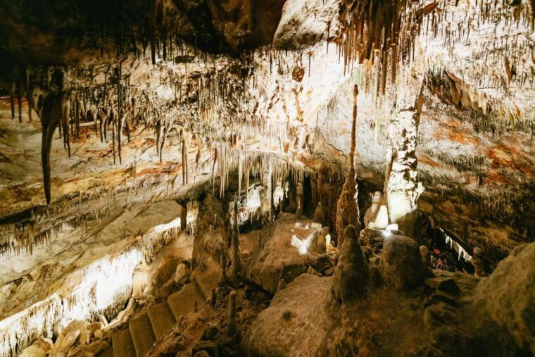 mallorca-caves-of-drach-day-trip-optional-caves-of-hams