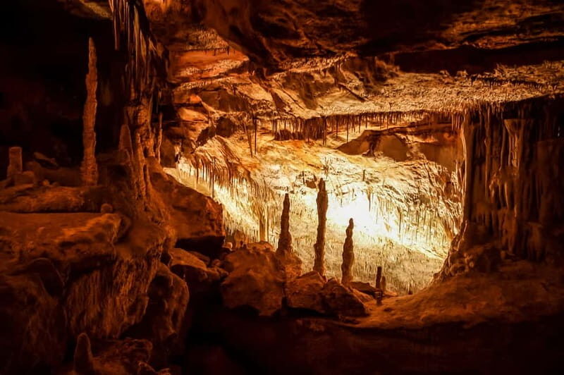 Mallorca: Caves of Drach Tour from the North with Boat Trip - Visiting the Pearl Shop in Porto Cristo