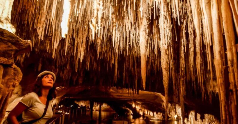 mallorca-caves-of-drach-tour-from-the-north-with-boat-trip