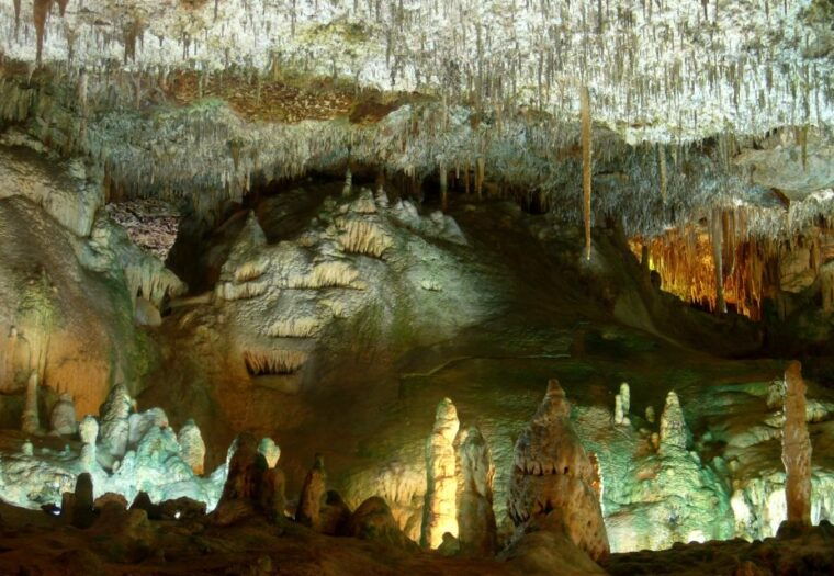 mallorca-caves-of-hams-and-dinosaurland-ticket-with-pickup