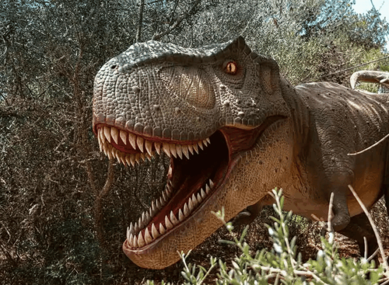mallorca-caves-of-hams-and-dinosaurland-ticket-with-pickup