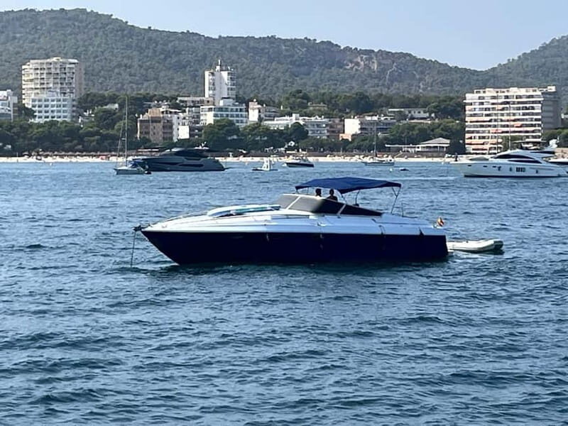 Mallorca: Charming boat ride with tapas and Mallorcan wines - The Sum Up