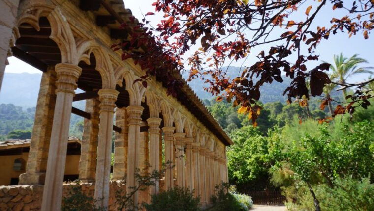 mallorca-day-trip-to-hidden-gems-of-tramuntana-with-lunch