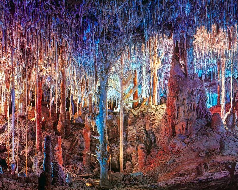 mallorca-dinosaurland-and-caves-of-hams-combined-ticket