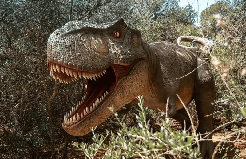 mallorca-dinosaurland-park-hams-caves-porto-cristo-tour