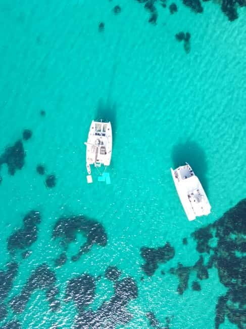 Mallorca: Discover paradisiacal coves on board of an exclusive catamaran - Key Points