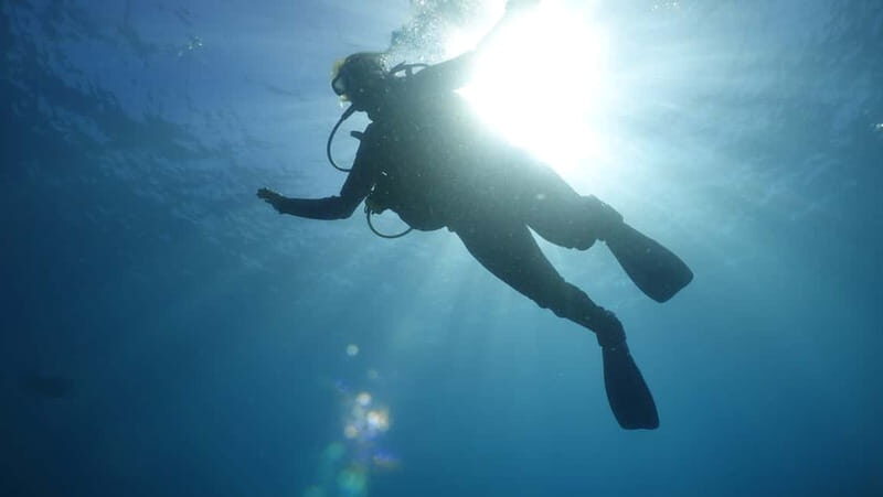 Mallorca: Discover Scuba Diving from the boat - Final Thoughts