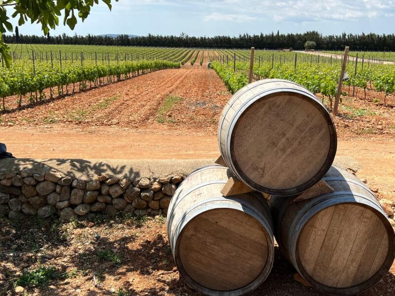mallorca-discover-the-secret-treasures-of-the-local-wine