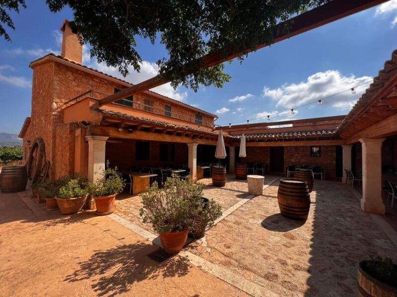 mallorca-discover-the-secret-treasures-of-the-local-wine