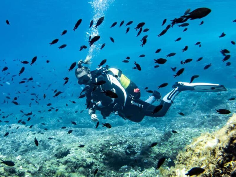 Mallorca: Diving without a license with an instructor from a boat - Cap de Formentor - What Makes This Tour Stand Out?