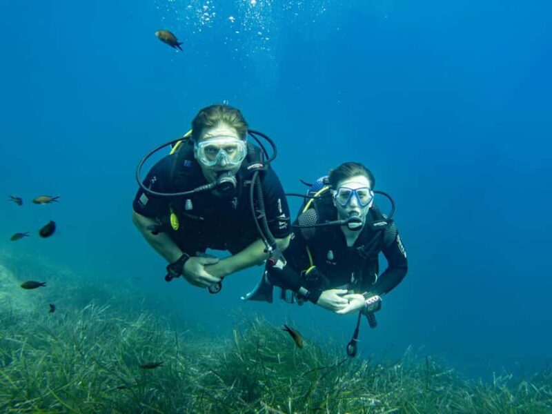 Mallorca: Diving without a license with an instructor from a boat - Cap de Formentor - Who Should Consider This Tour?