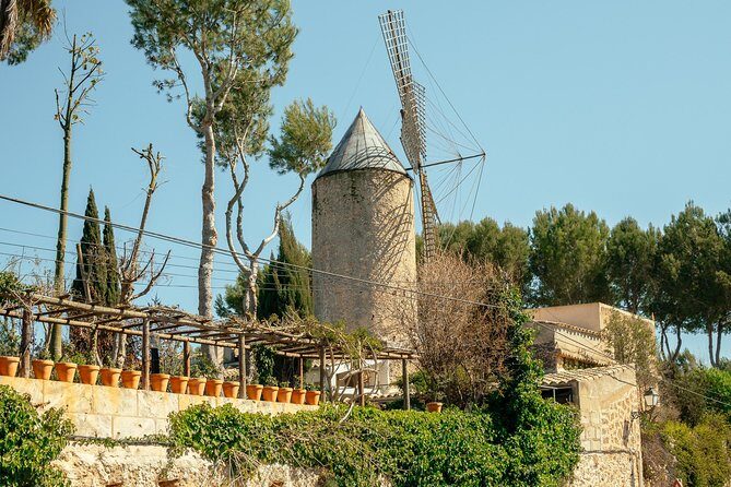 Mallorca Drach Caves Private Day Trip by Car with Hotel Pick-Up - Key Points