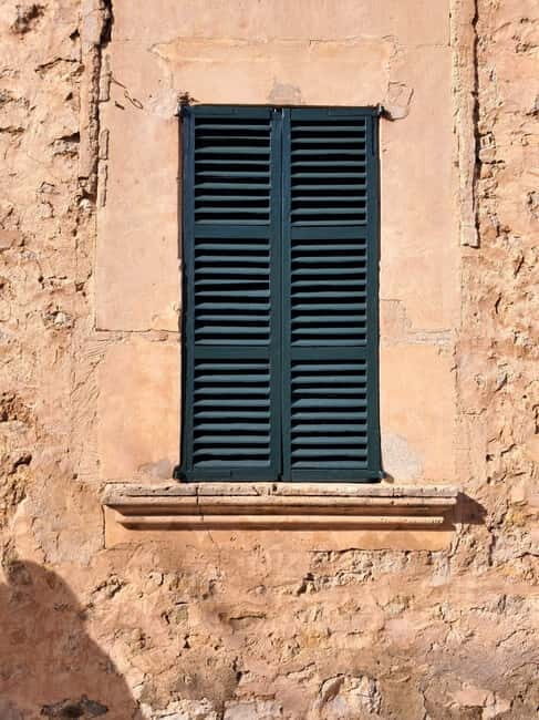 Mallorca: Exclusive wine tour with breakfast, wine tasting, and paella - Who Would Love This Tour?
