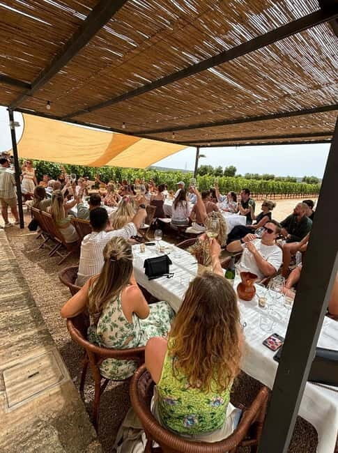 Mallorca: Exclusive wine tour with breakfast, wine tasting, and paella - The Sum Up