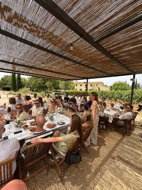 Mallorca: Exclusive wine tour with breakfast, wine tasting, and paella - FAQ
