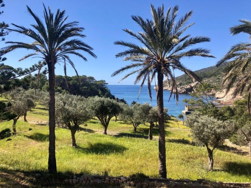 mallorca-explore-the-island-of-dragonera-with-the-kayak