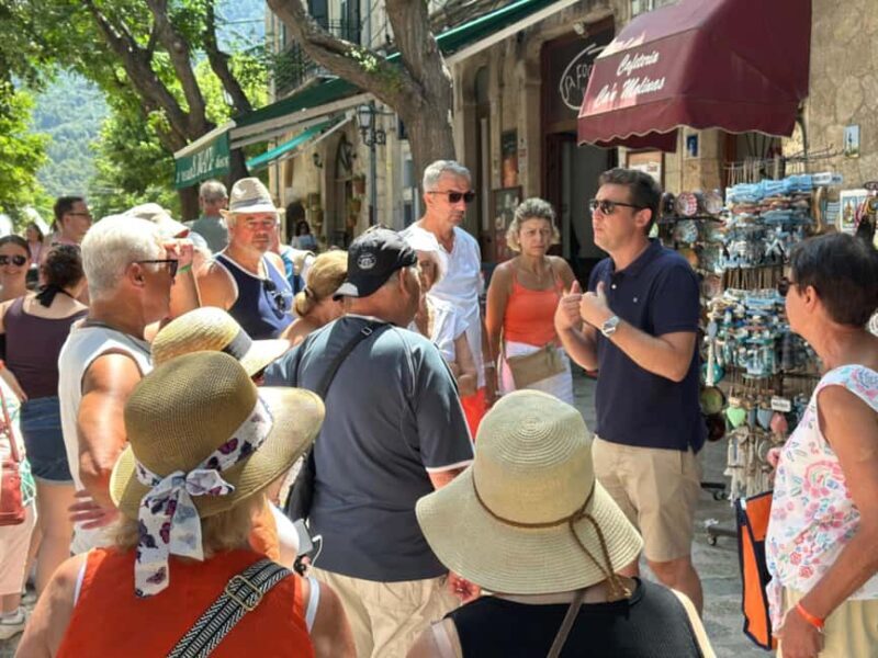 Mallorca: Full-Day Scenic Villages Tour with local Lunch - Discover Mallorca’s Hidden Charms on a Full-Day Scenic Villages Tour