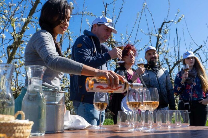 mallorca-full-day-winery-small-group-tour