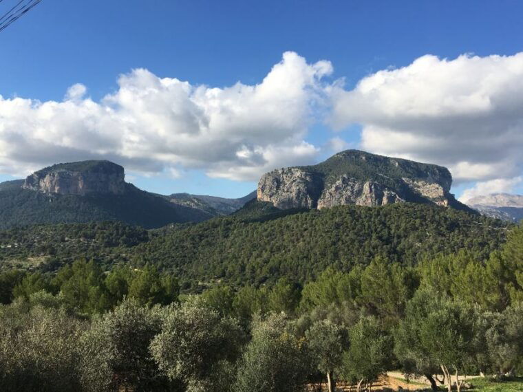 mallorca-full-day-winery-small-group-tour