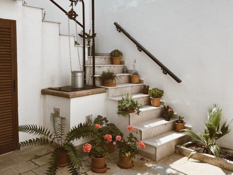 mallorca-gastronomic-wine-tasting-local-delicacies