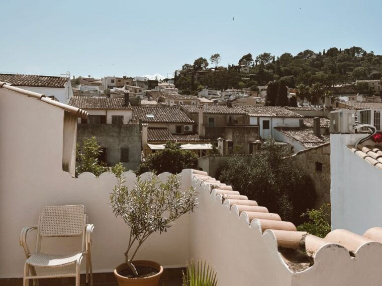 mallorca-gastronomic-wine-tasting-local-delicacies