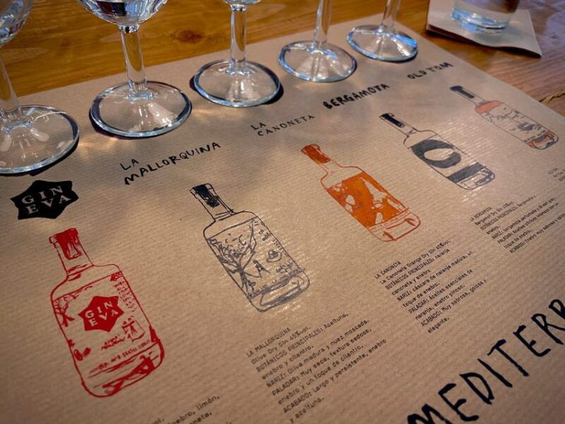 mallorca-gin-tasting