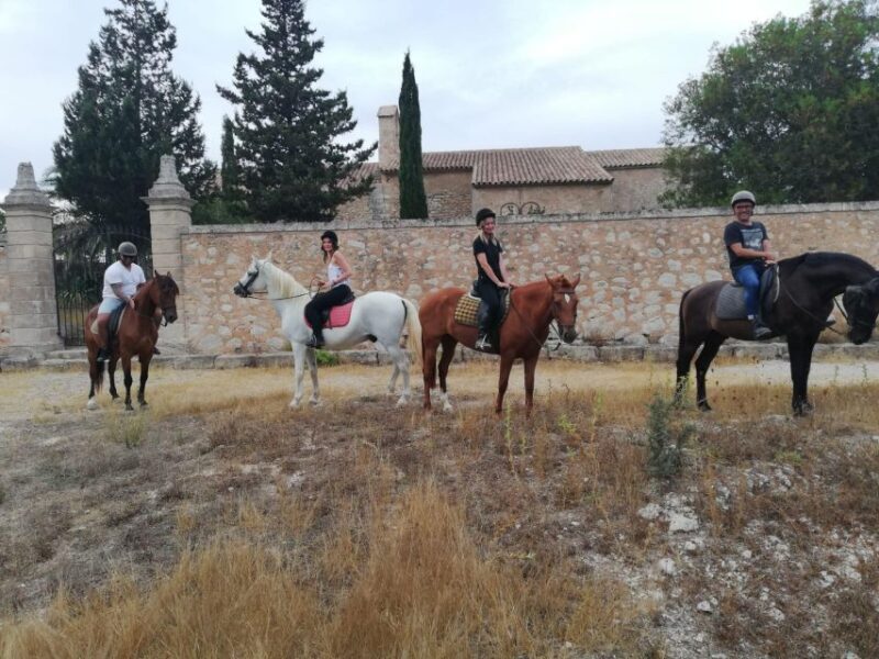 Mallorca: Guided Horseriding Tour of Randa Valley - Key Points